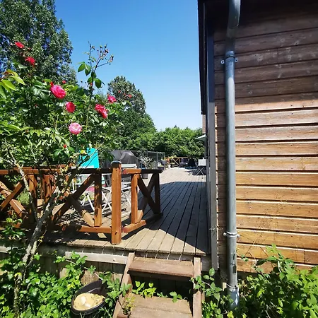Maison Architecte En Bois Avec Piscine Et Jacuzzi Villa *